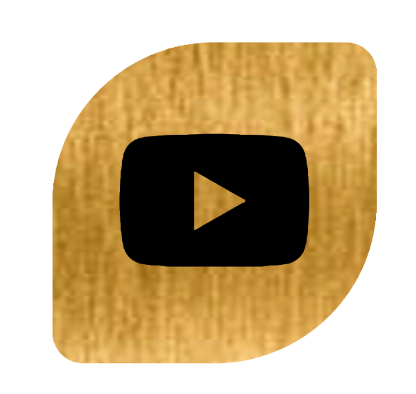 logo youtube biennal